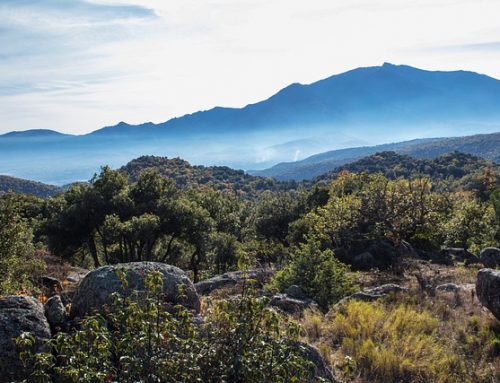 Randonnee vers le Pic du Canigou pour admirer le leve de soleil sur les Pyrenees Orientales