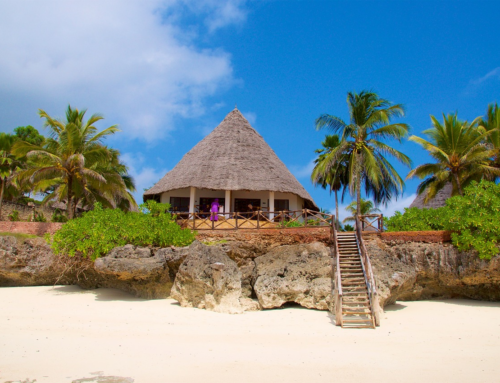 Choisir Zanzibar pour votre prochaine destination
